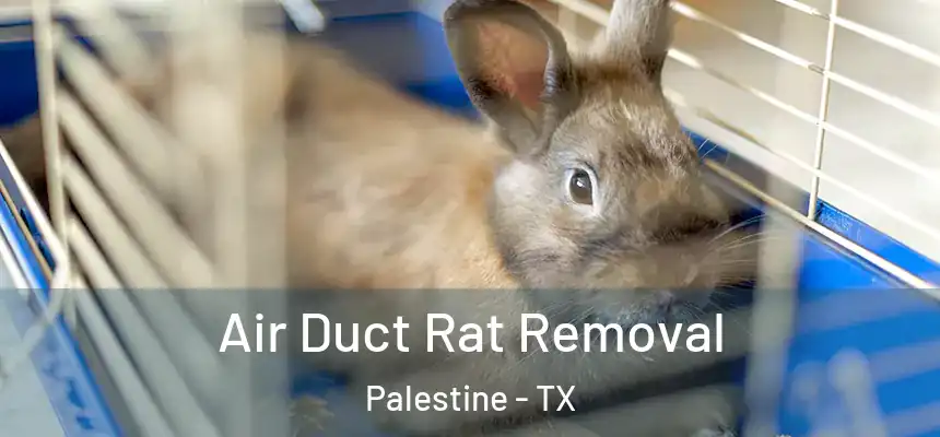  Air Duct Rat Removal Palestine - TX