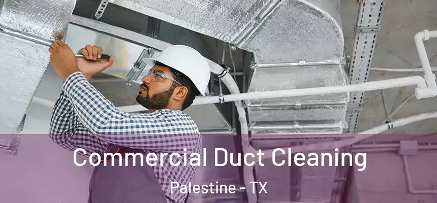  Commercial Duct Cleaning Palestine - TX