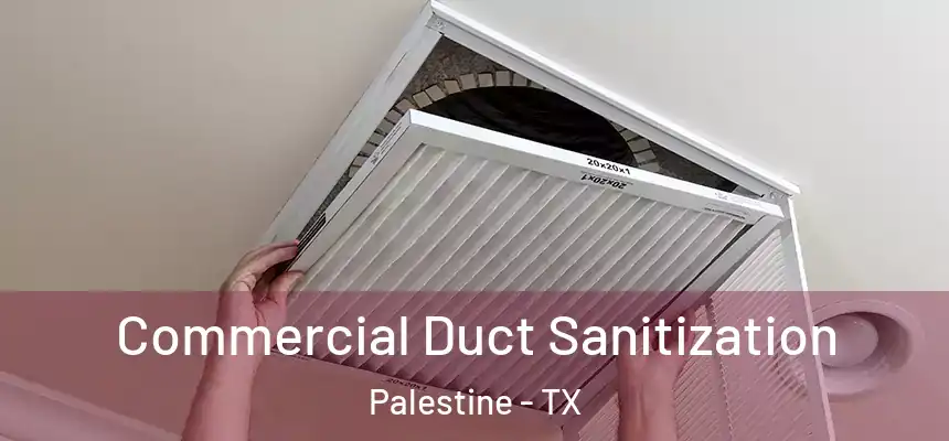  Commercial Duct Sanitization Palestine - TX
