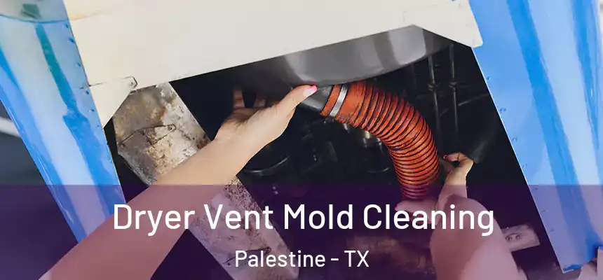  Dryer Vent Mold Cleaning Palestine - TX