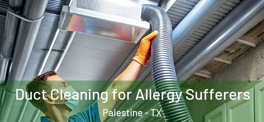  Duct Cleaning for Allergy Sufferers Palestine - TX