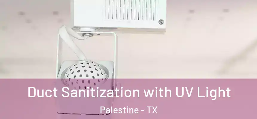  Duct Sanitization with UV Light Palestine - TX
