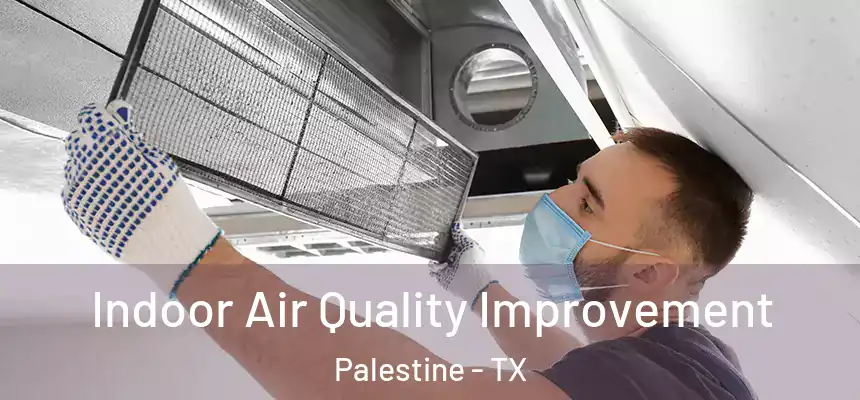  Indoor Air Quality Improvement Palestine - TX