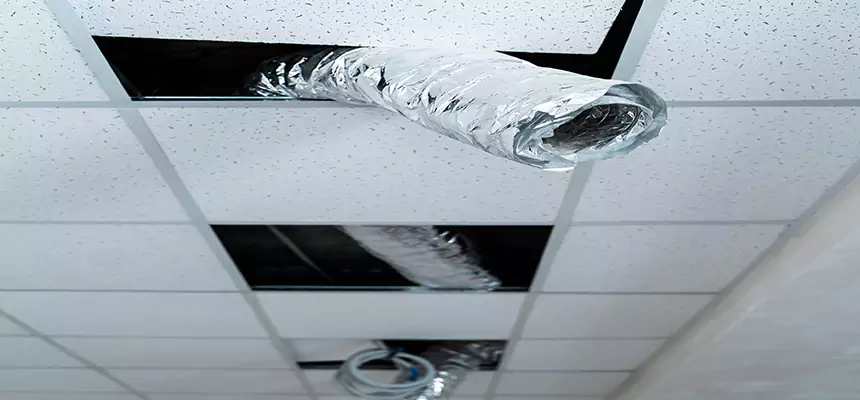 Our Air Duct Pet Hair Removal Services in Palestine, TX