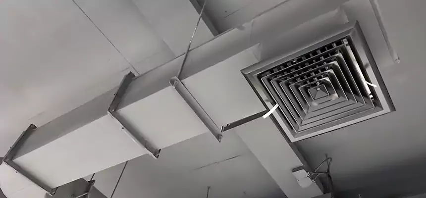 Our Pest Removal From Ducts Services in Palestine, TX