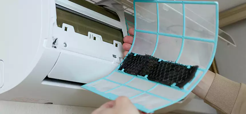 Gentle Ductwork Odor-Control Pet Dander Duct Cleaning in Palestine, TX