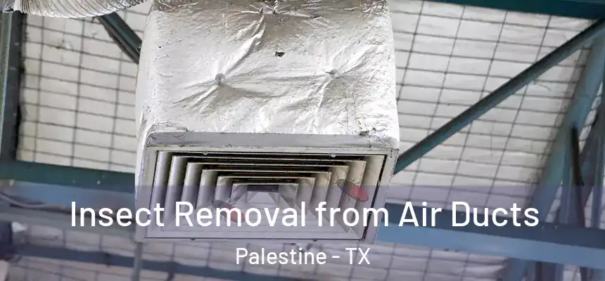  Insect Removal from Air Ducts Palestine - TX