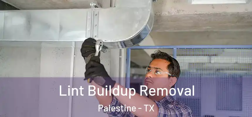  Lint Buildup Removal Palestine - TX