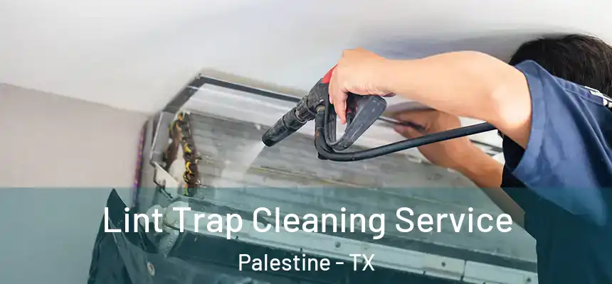  Lint Trap Cleaning Service Palestine - TX