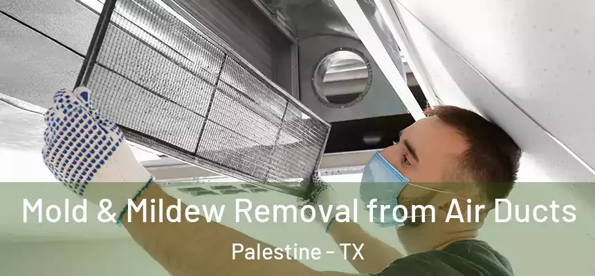  Mold & Mildew Removal from Air Ducts Palestine - TX