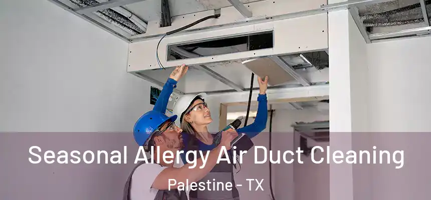  Seasonal Allergy Air Duct Cleaning Palestine - TX