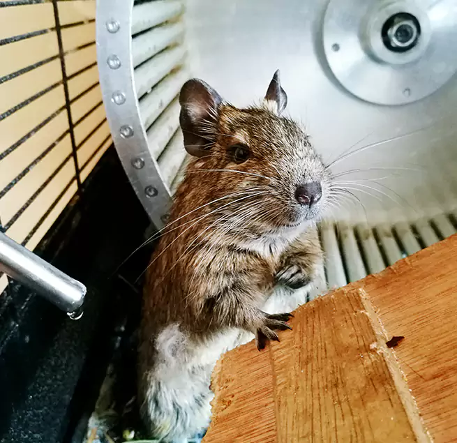 Why Homeowners & Businesses Trust Us Palestine, TX