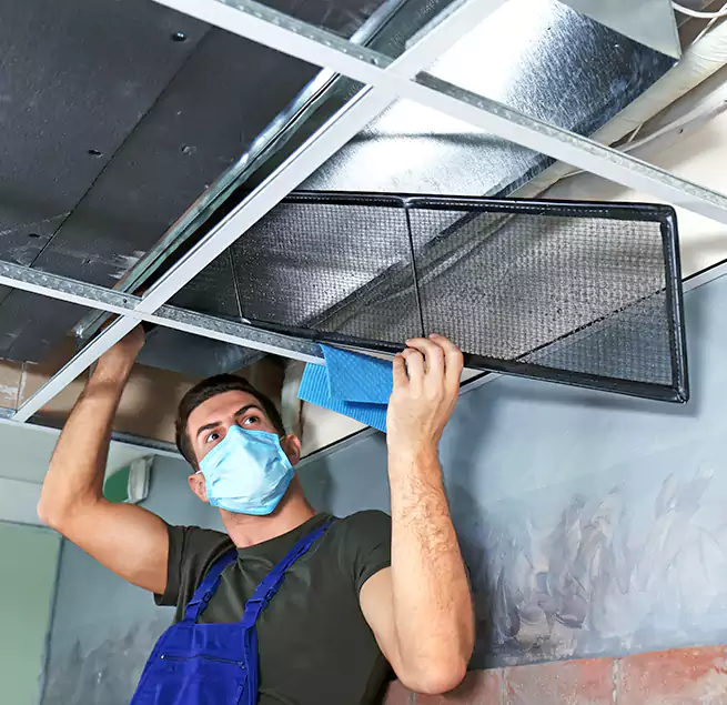 Why Homeowners Businesses Trust Us in Palestine, TX