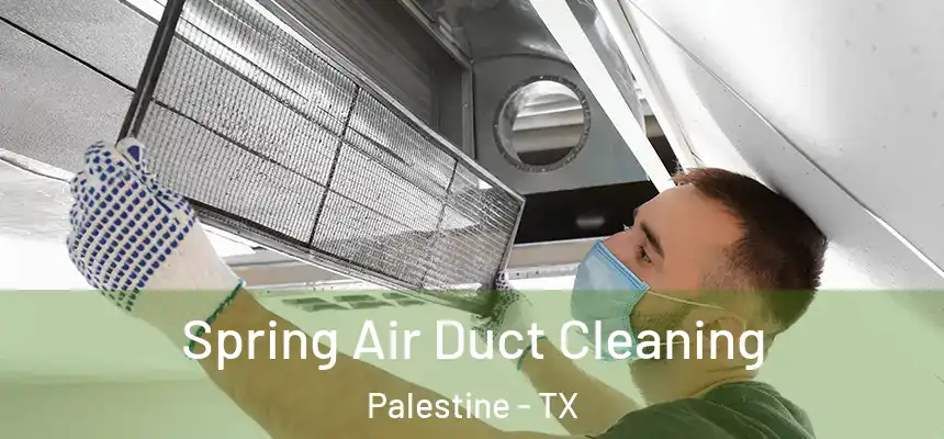  Spring Air Duct Cleaning Palestine - TX